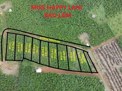 Đất View hồ điều hòa Đắk Lé Lộc Đức -Bảo Lâm Lâm Đồng -Miss Happy Land làm hạ tầng đường nhựa 4m