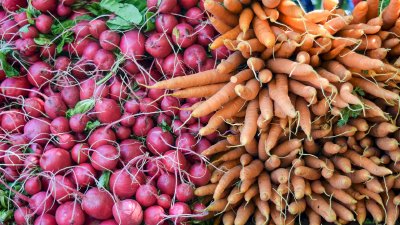 Farm Organic vegetables Miss Happy Land - Miss World Business Vo Thu Suong