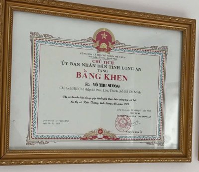 Hoa hậu Võ Thu Sương nhận bằng khen vì hoạt động công tác xã hội tại thị xã Kiến Tường, tỉnh Long An