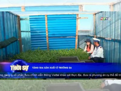 Hoa hậu Võ Thu Sương tham quan vườn rau số 3 trên đảo Sinh Tồn, huyện đảo Trường Sa, tỉnh Khánh Hòa