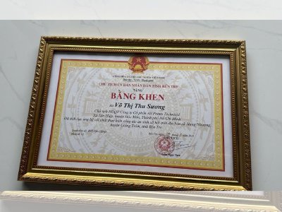 Hoa hậu Võ Thu Sương nhận bằng khen vì tích cực ủng hộ vật chất thực hiện công tác an sinh xã hội trên địa bàn xã Hưng Nhượng, huyện Giồng Tôm, tỉnh Bến Tre