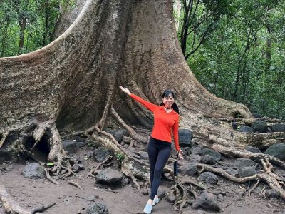 Hoa hậu Võ Thu Sương tham quan Vườn quốc gia Nam Cát Tiên, chiêm ngưỡng cây cổ thụ hàng trăm năm tuổi