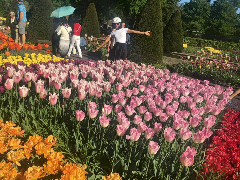 Lễ hội hoa Keukenhof ở Hà Lan điểm checkin thứ 5 Around the World  của doanh nhân Võ Thu Sương 