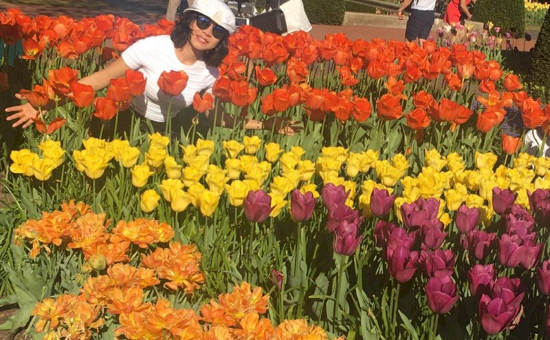 Lễ hội hoa Keukenhof ở Hà Lan điểm checkin thứ 5 Around the World  của doanh nhân Võ Thu Sương 