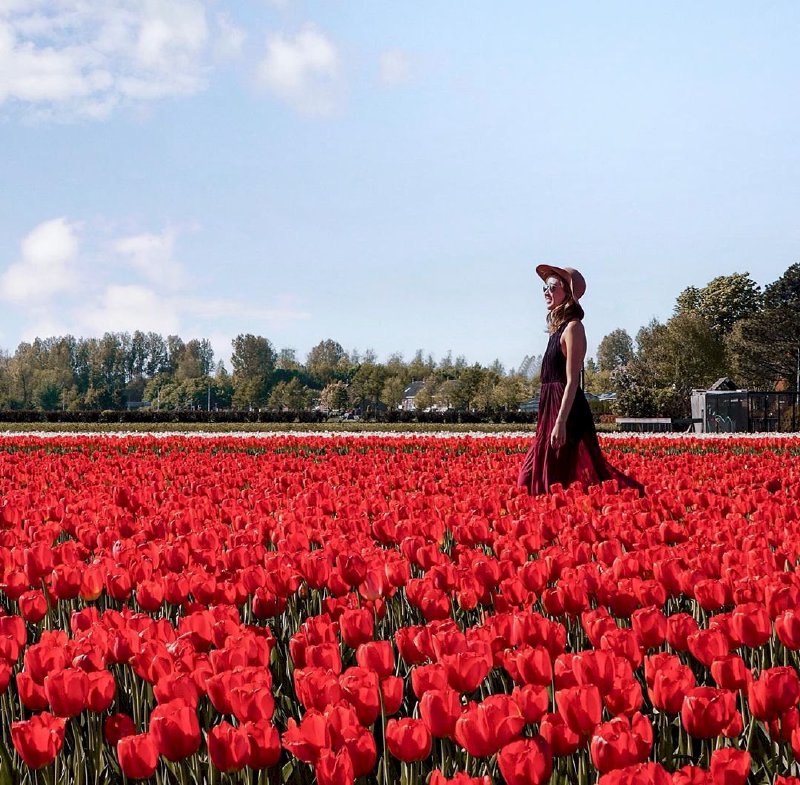 Lễ hội hoa Keukenhof ở Hà Lan điểm checkin thứ 5 Around the World  của doanh nhân Võ Thu Sương 