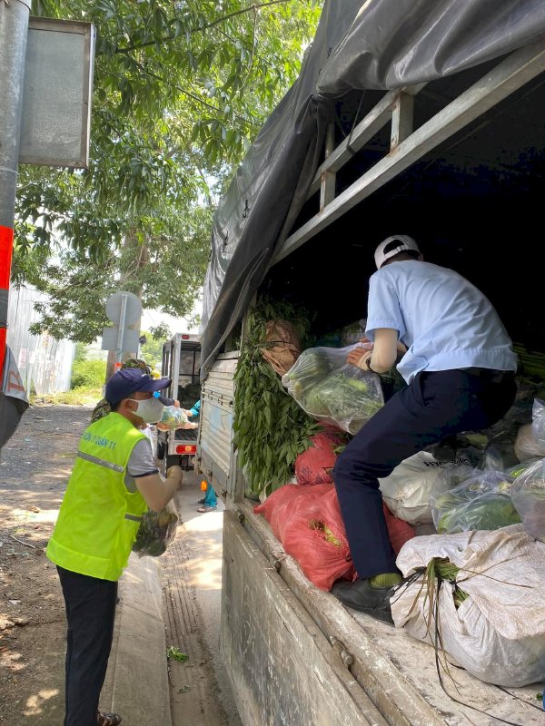 Võ Thu Sương và những người bạn Chị Hoa Bình Phứoc gửi tặng 199  phần rau trao cho bà con TPHCM 