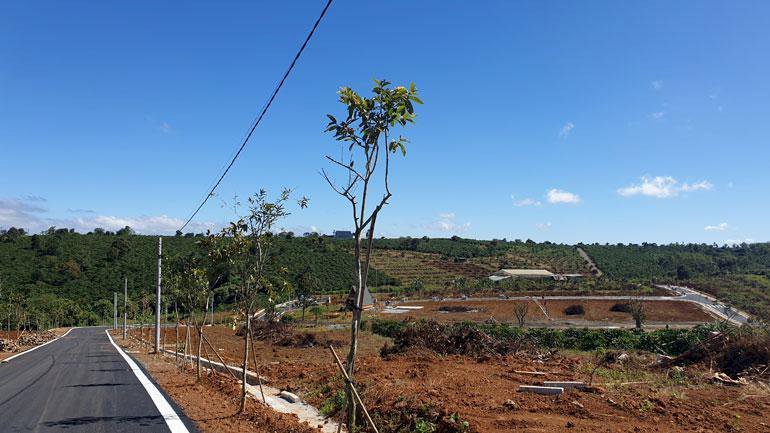 Lãnh đạo huyện Bảo Lâm Lâm Đồng đánh giá cao vai trò của nền kinh tế phân lô đất nền