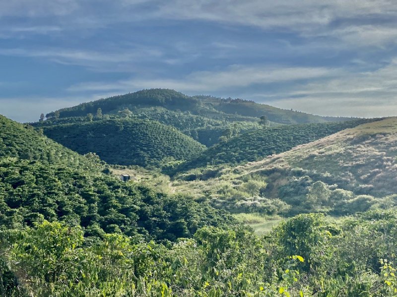 Nhà đất Thổ Cư Ninh Gia view thung lũng hồ làm Farm nghỉ dưỡng lý tưởng 