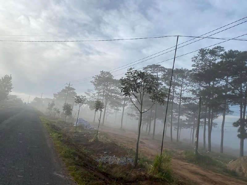 Nhà đất Thổ Cư Ninh Gia view thung lũng hồ làm Farm nghỉ dưỡng lý tưởng 