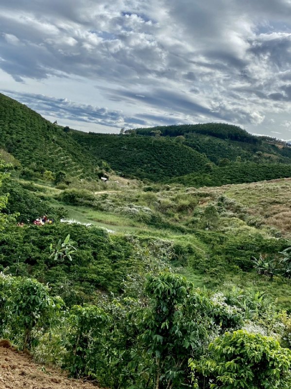 Nhà đất Thổ Cư Ninh Gia view thung lũng hồ làm Farm nghỉ dưỡng lý tưởng 