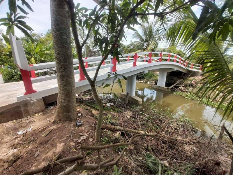 Hoa hậu cầu đường Võ Thu Sương khánh thành cầu Phúc Lộc 18 và khảo sát cây cầu 19 tại Đồng Tháp