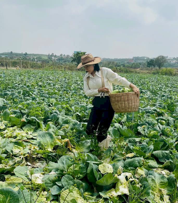 Bỏ phố về làng quê Hoa hậu Võ Thu Sương đưa rau sạch hữu cơ từ Miss Happy Land đến bếp ăn gia đình 